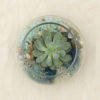 Coastal Kit - Image 2