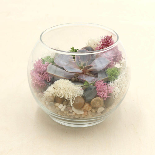 Prairie Rose Kit