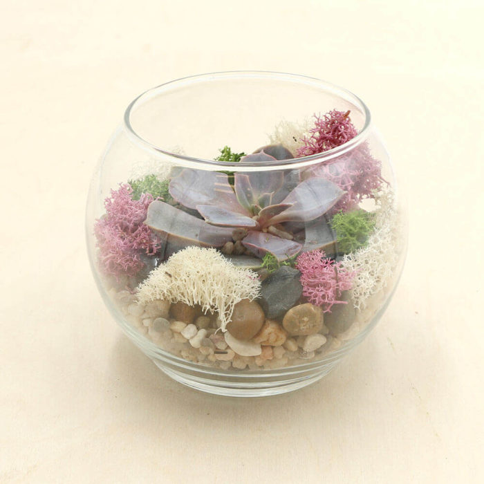 Prairie Rose Kit