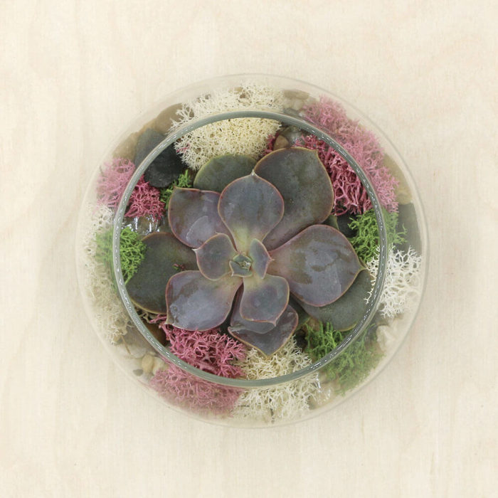 Prairie Rose Kit - Image 2