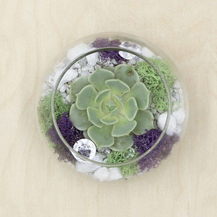 Northern Lights Kit - Image 2