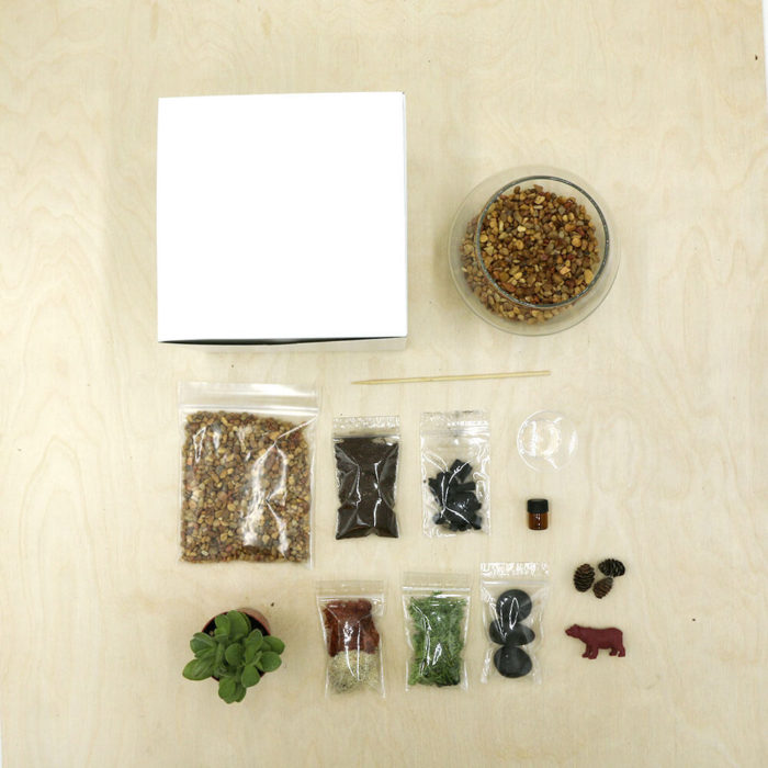 Into The Woods Kit - Image 3