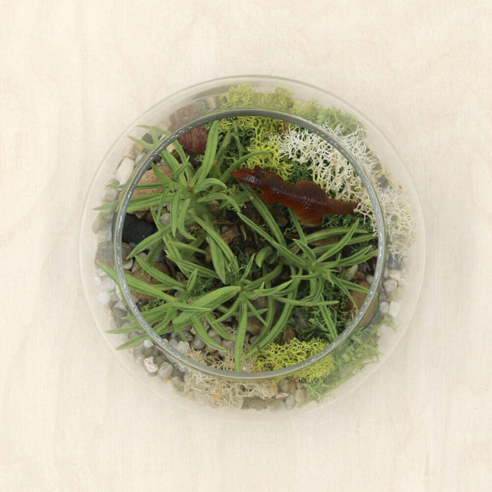 Jurassic Kit - Image 2