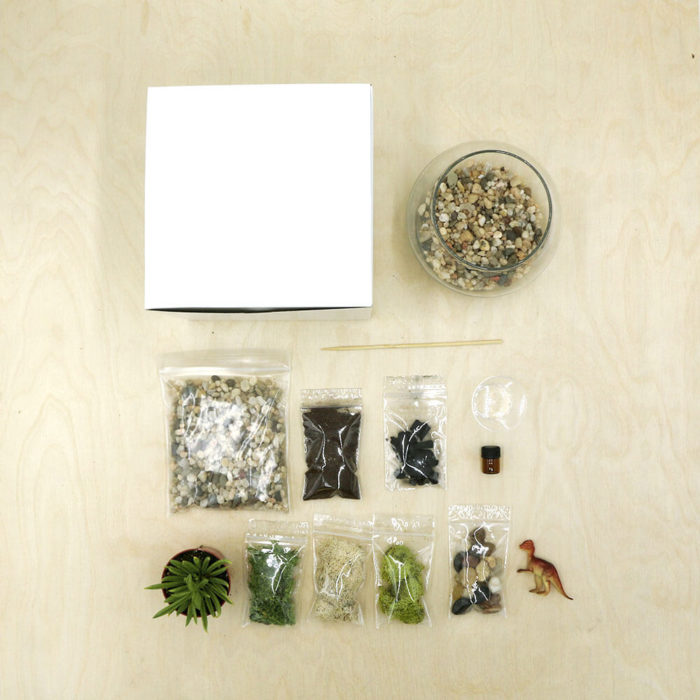 Jurassic Kit - Image 3