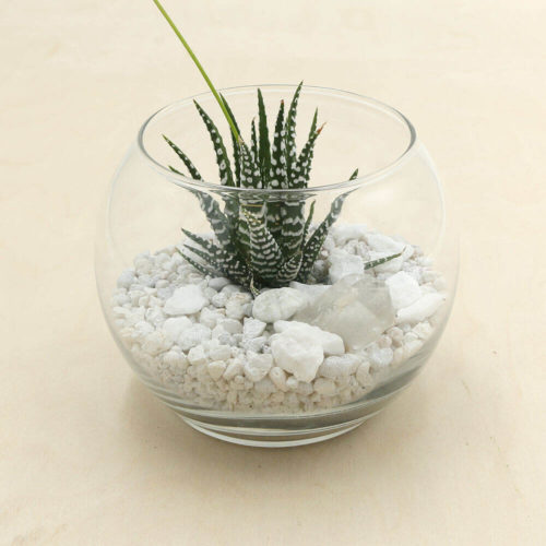 Glacier Kit