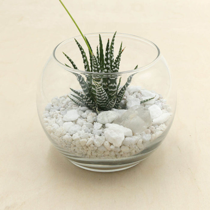Glacier Kit