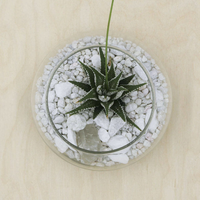 Glacier Kit - Image 2