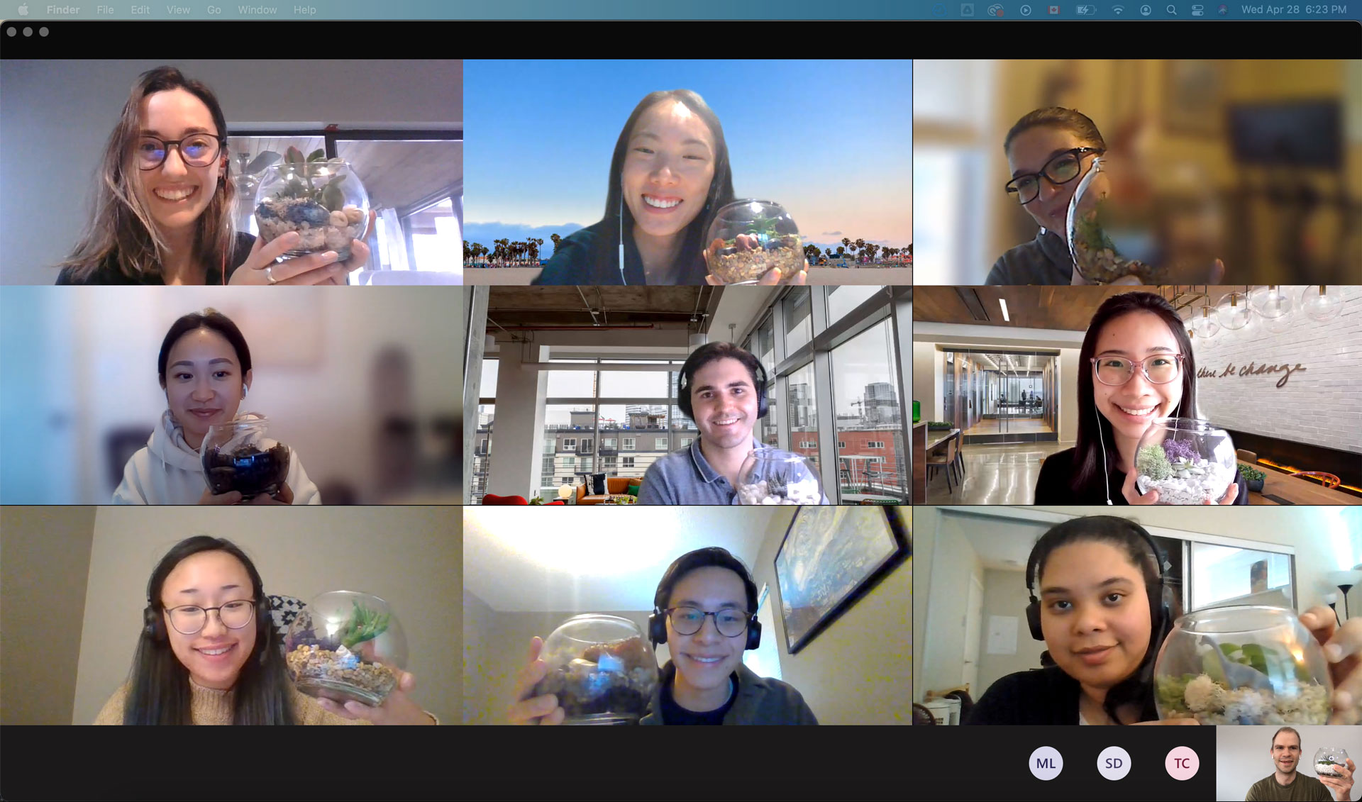 Plant-vibe-virtual-team-building