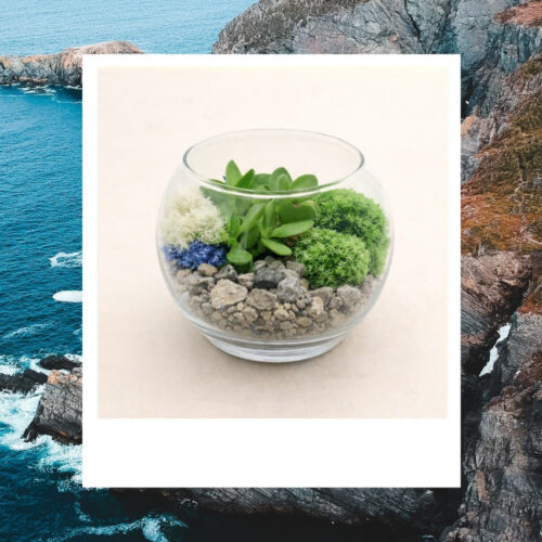 Rocky Shores Kit