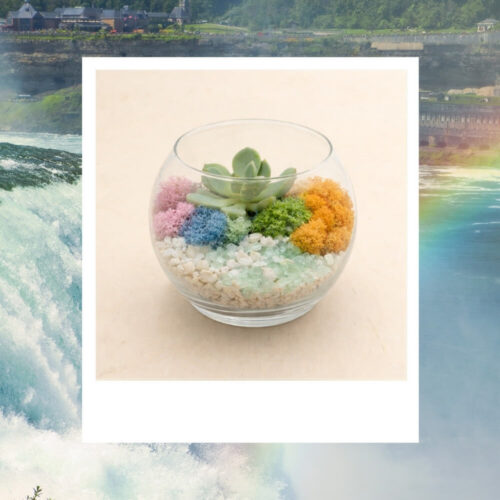 Waterfall Rainbow Kit